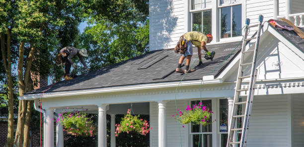 Best Roof Insulation Installation  in North Springfield, VA
